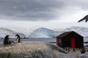 c81-Port Lockroy red shed.jpg